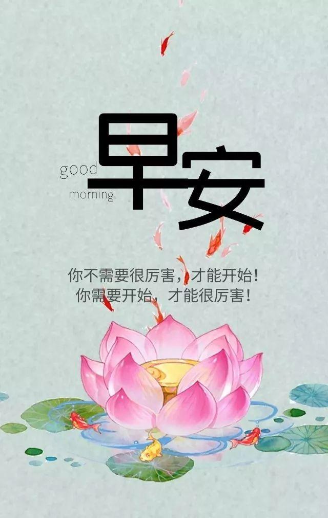 周末早安正能量图片句子：世界从不公平，所以你有多努力就有多特殊