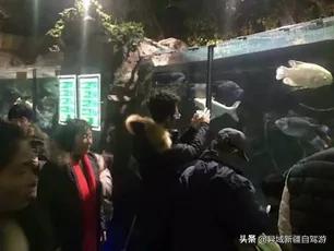 海底世界图片大全真实，青岛极地海洋世界，第一次去不能错过的景色有哪些