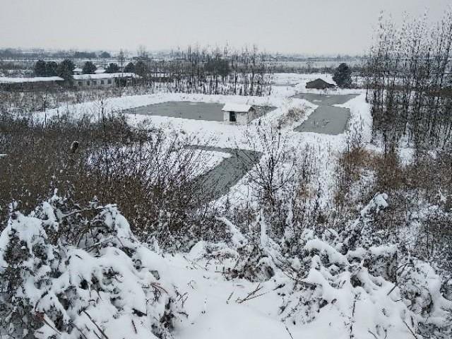 福建日本对虾苗:下雪对养殖小龙虾有影响吗？