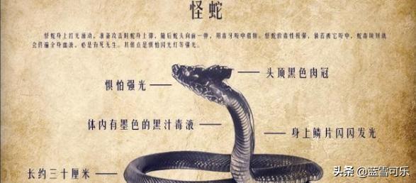 尸香魔芋花:《鬼吹灯》十大鬼怪战力详解，哪个能帮我排一下名次？
