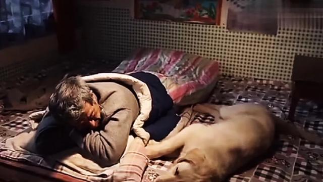 关于动物的电影18部:有没有好看的宠物类电影？