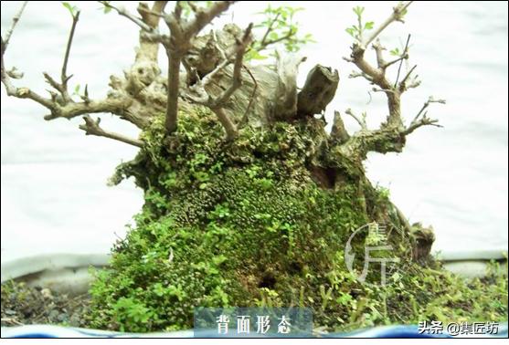 培新机械:工业机器人专业有哪些就业方向？