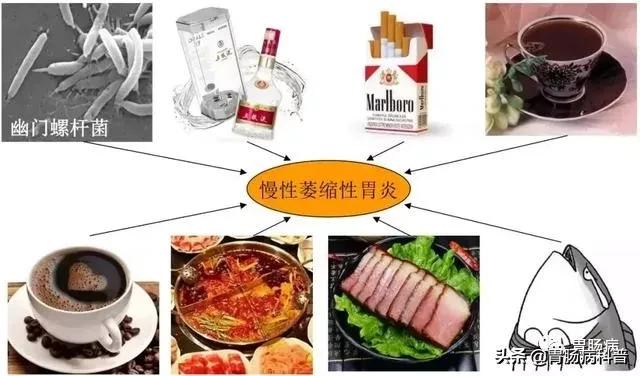 重度萎缩性胃炎的症状及治疗:什么药能治好萎缩性胃炎？