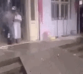 超萌猫咪动态图片:猫咪是怎么分辨主人和陌生人的？