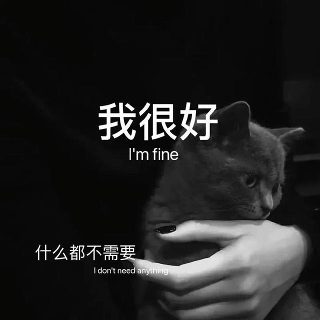 朋友圈如何打造人设:发什么样的朋友圈，能让他感受到我的委屈，对我产生愧疚感？