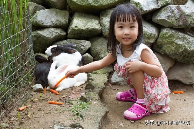 花猫的小屋 胃癌:你见过最苦的人是什么样的？
