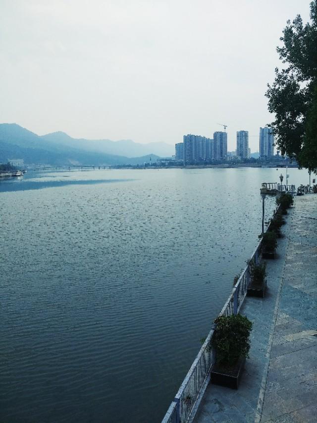 卡乐猫:一个月小猫怎么分银点和渐层？ 卡乐猫app下载