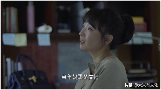 涂松岩老婆:如何评价电视剧《以家人之名》