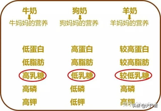 人奶喂狗:牛奶能够代替犬奶给狗狗喝吗？