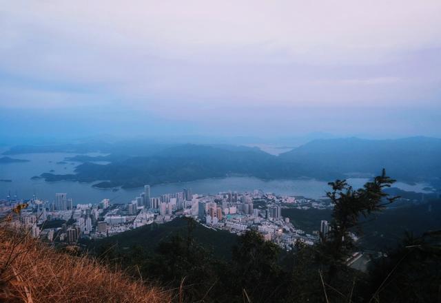深圳狗狗网红:在深圳，为什么脱单那么难呢？