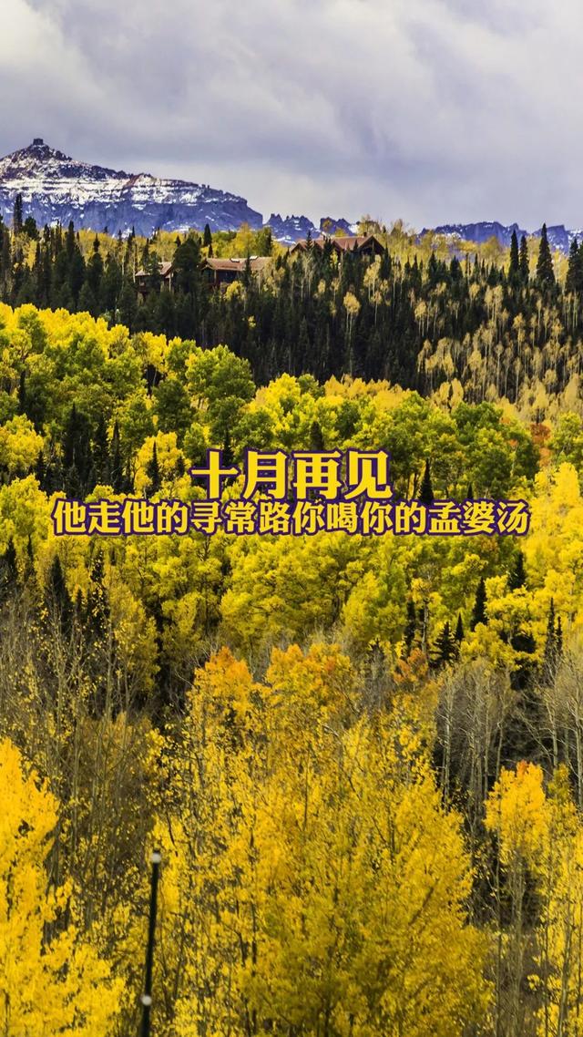 十一月你好简短说说语录励志正能量 十一月你好海报配图卡通图片大全