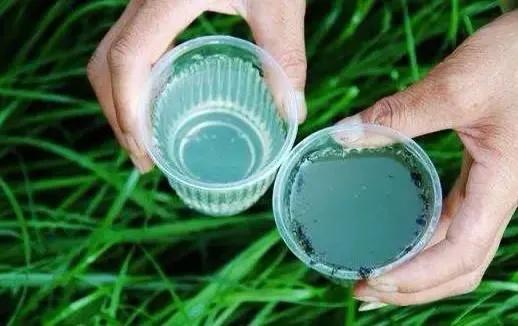 判断房子干净最快方法,如何判断家里自然水水质的好坏？