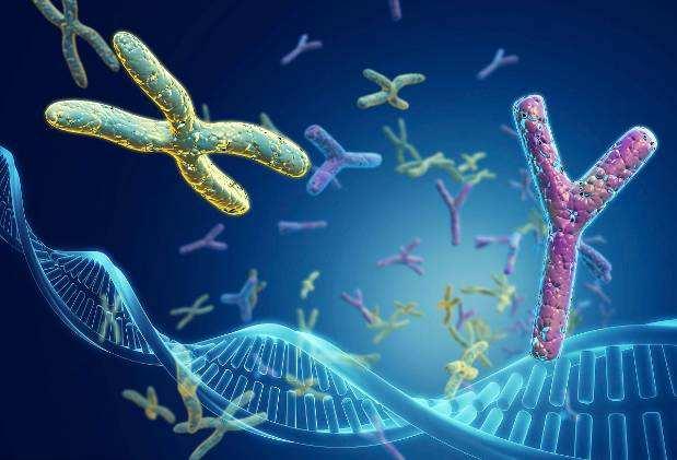 算命说生男生女能信吗,生男生女由谁决定？为什么？