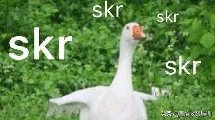 抖音,头条自媒体怎么做才能挣钱？