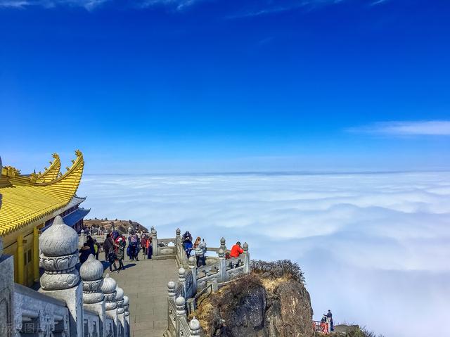 乐山大佛头顶，四川乐山的乐山大佛和峨眉山哪个更受欢迎