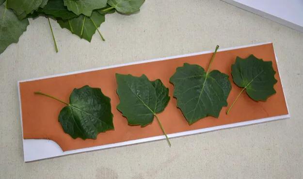 玉石真皮假皮怎么区分,在购买真皮皮衣时，如何识别皮衣真伪？