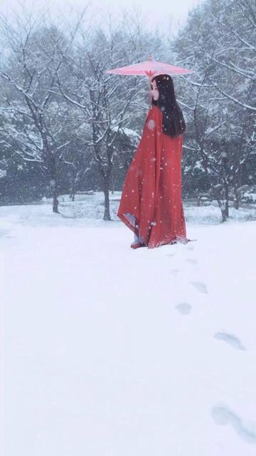 小寒节气到了,多个地区迎来大降雪,这对农业有啥影响呢？