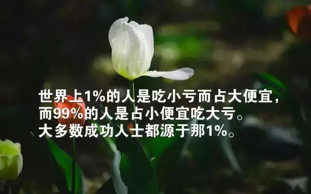 正能量早安语句190516：我们唯一需要做的，就是静静地好给世界看