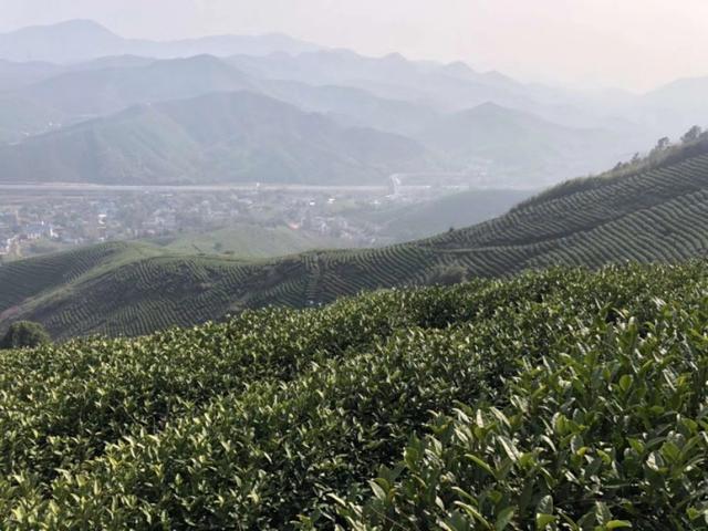 虫样年华:在宾馆里工作的你们遇见过哪些奇葩事？