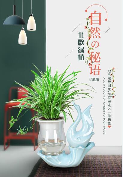 仙八色鸫能拿来养吗，推荐几种喜阴水培植物。比较容易养的？有哪些？