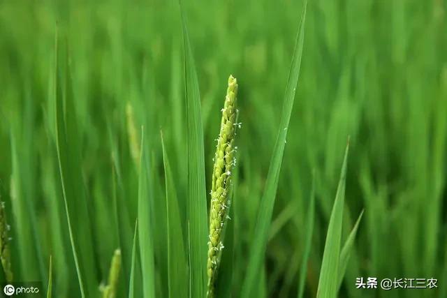 狗民网论坛115期资料:多张信用卡逾期，因为某种原因一分钱没还，以后会面临什么结果？