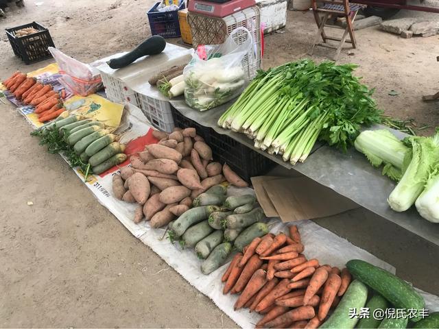 如何做蔬菜配送生意，怎样在小县城做好针对小餐厅的蔬菜配送生意呢发展怎么样