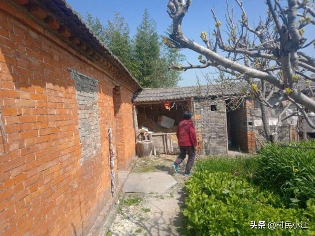 现农一些村大量无人居住的空宅能不能改为耕地？
