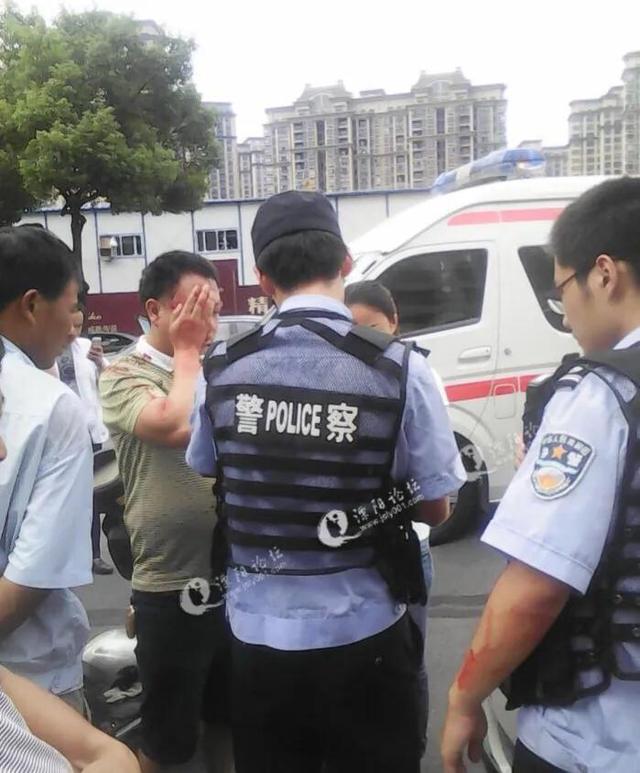 大狼狗打架:哪种狼狗的战斗力最为强悍？ 梦见和大狼狗打架