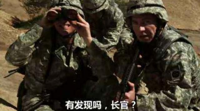 巨骆驼蜘蛛:骆驼蜘蛛到底是什么东西？