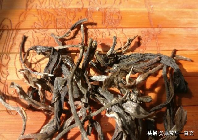 古树藤条茶是普洱茶么,普洱茶里出现“马蹄梗”就是古树春茶吗？