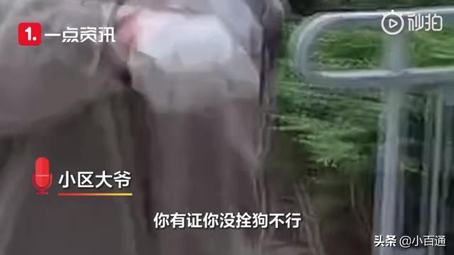 米格鲁犬遛弯能放狗绳吗:遛狗遇到怕狗的人怎么办？