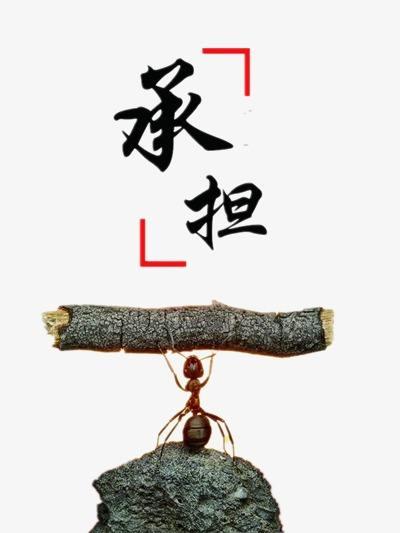 天平上的马尔济斯第1集分集剧情:女朋友从不认错，自尊心太强怎么办？