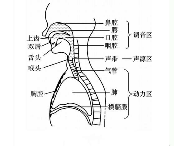 头条问答 - 怎么样可以唱歌好听?(41个回答)
