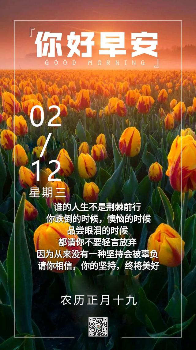 2月12日早安日签图片带文字：风生水起，拼尽全力