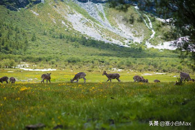 稻城亚丁,有谁去过稻城亚丁，那边怎么样？