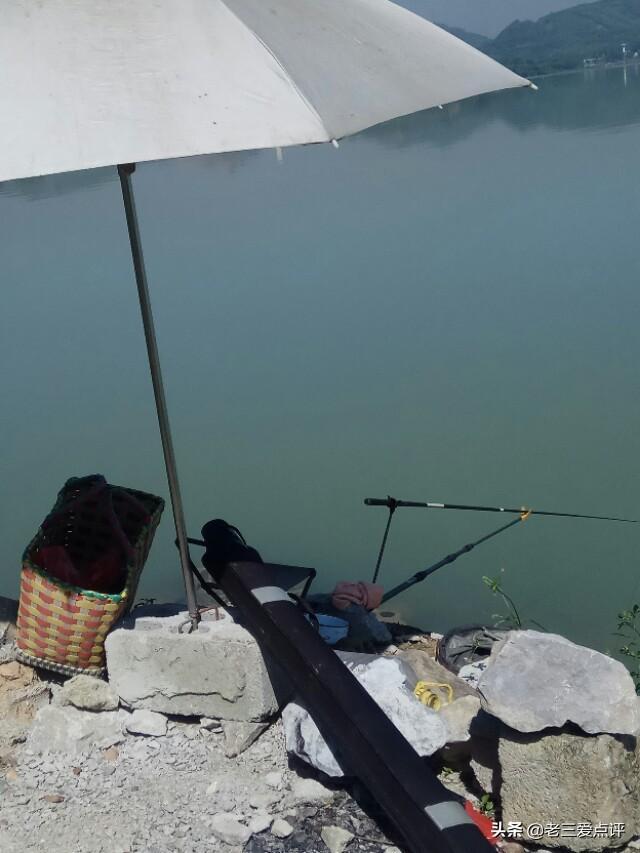 哪种龟比较好养？