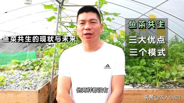 面对农村空荡荡的老房子,许多人怀念成灾,为什么？
