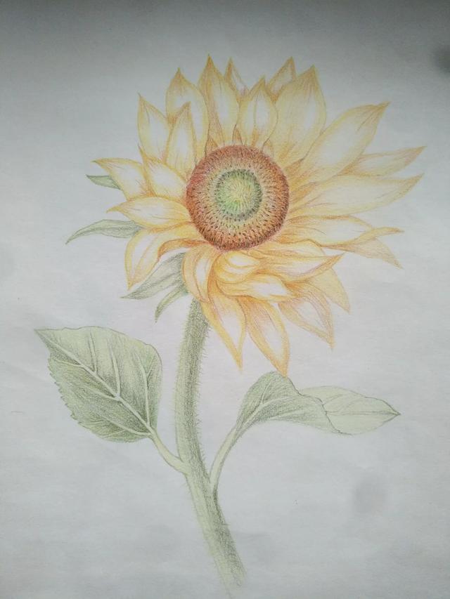 自学绘画,请帮忙评价这幅画的优点和问题？