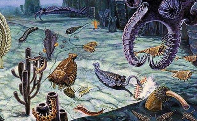2000万年前化石树:38亿年前的人骨化石已被发现，地球生物史到底是怎样的？