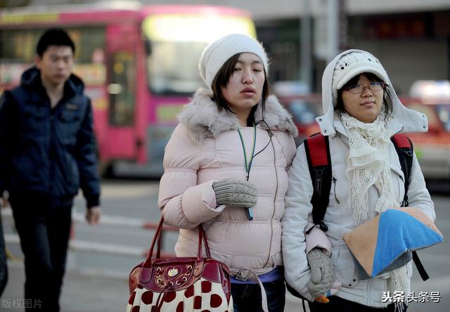 朱克 雪候鸟 视频:冬天来了，很多北方人又去南方了，如何看待北方人的候鸟生活？