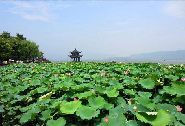 夏天的诗有哪些:夏天的诗有哪些二年级