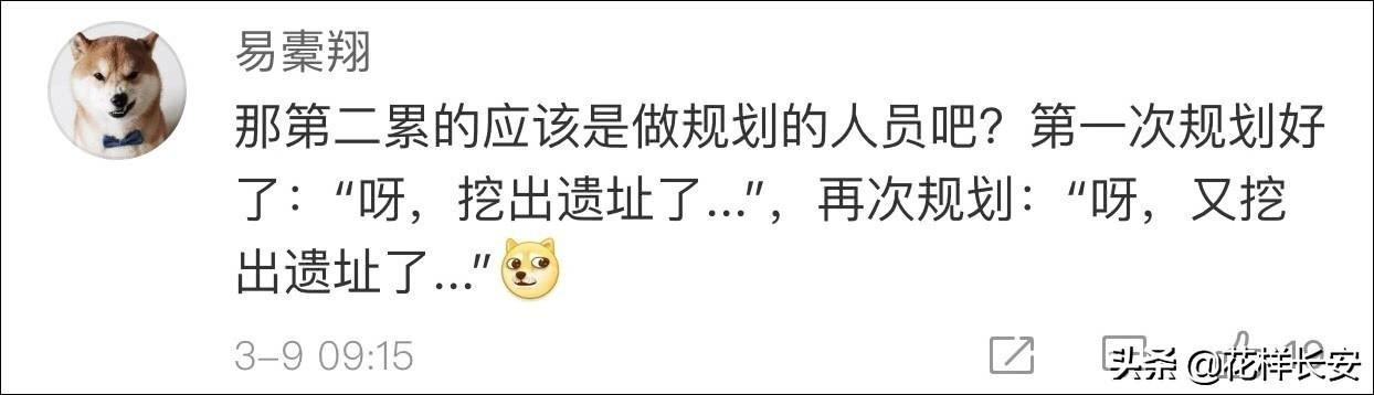 西北藏獒网红王一号:怎么看待西安是一个网红城？