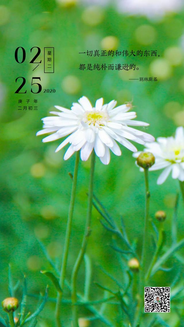 正能量早安图片日签语句200225：绣花要得手绵巧，打铁还需自身硬