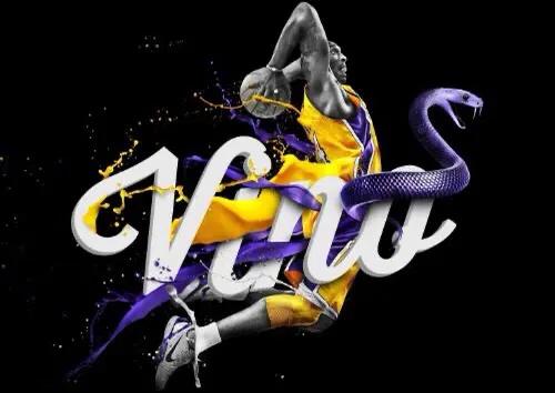 黑曼巴精神是一种怎样的存在