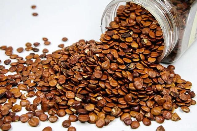 酸枣仁泡水一次用几粒，酸枣仁泡水喝的功效是什么？