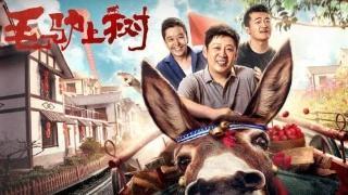 姜寒:有哪些值得推荐的网络大电影？