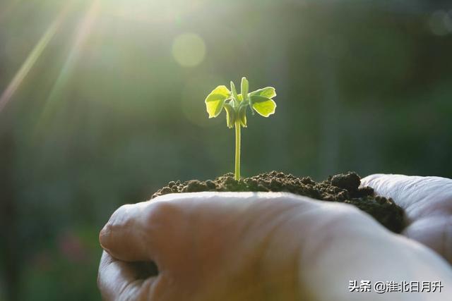 河北泊头灭门案:山东一家六口灭门被杀案。如果受害者亲属要求赔偿，怎么操作？