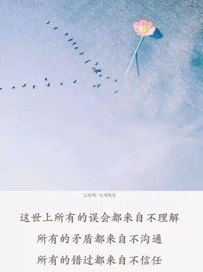 理解并不常见,误会却是人间常态,表达了什么意思？