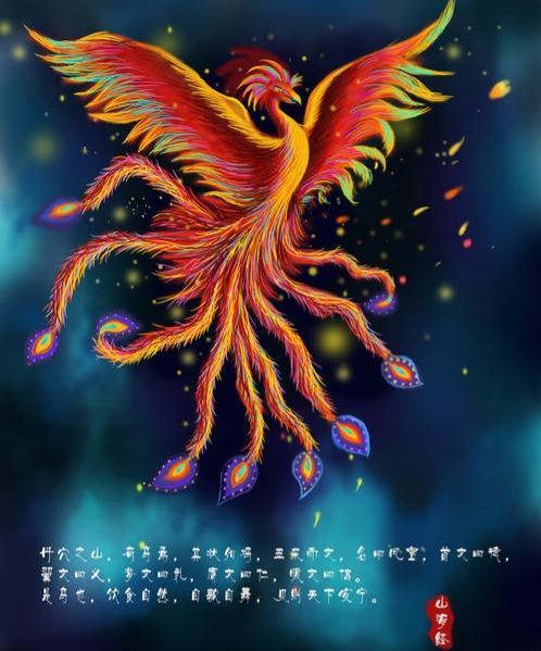 重庆紫颊直嘴太阳鸟:凤凰在古代是什么样的象征？