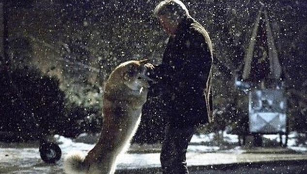 导盲犬珍妮:导盲犬珍妮退役选主人视频 大家都知道几部感人的电影，都是什么呢？